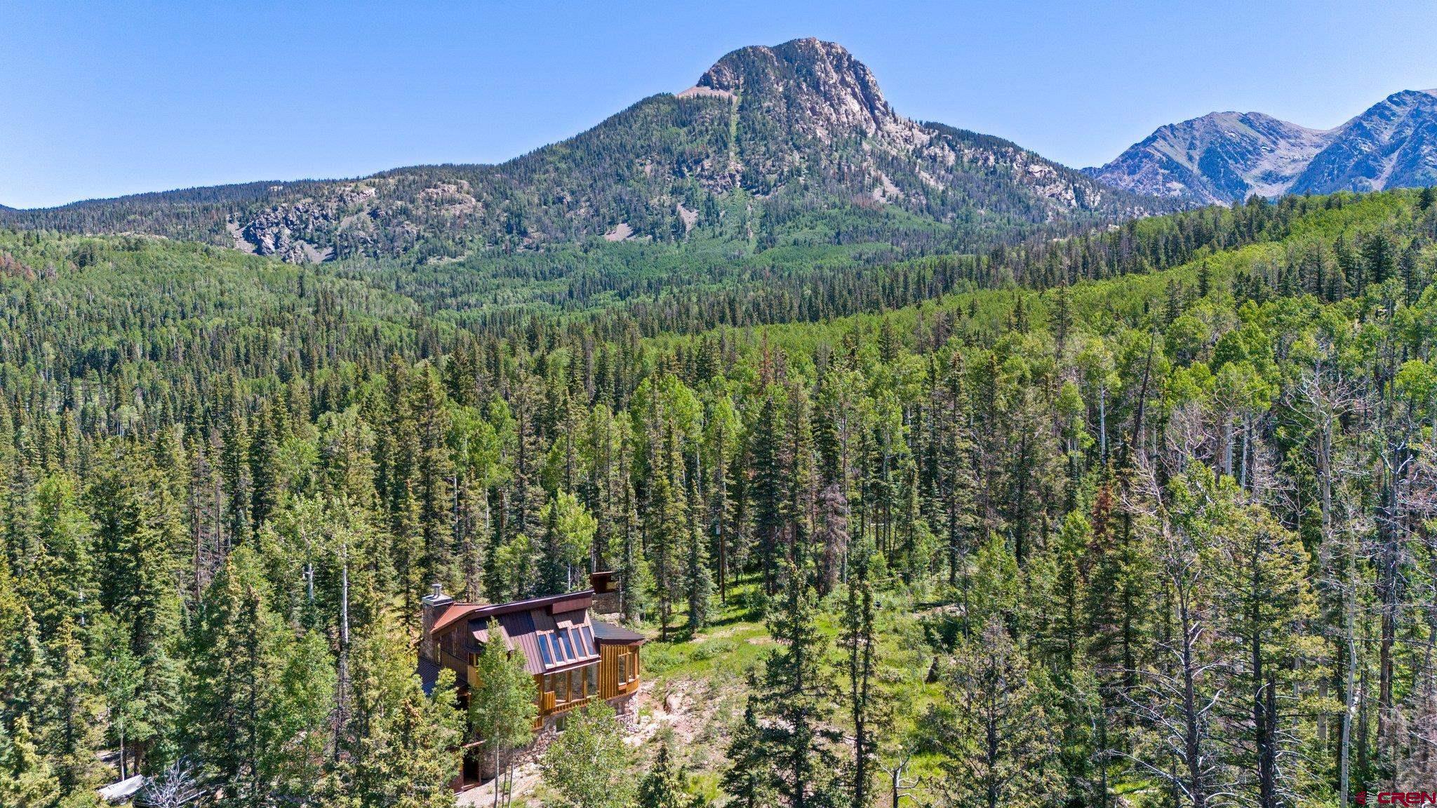 1389 County Road 240 Durango, CO 81301 - Photo 3 of 35 a view of a lush green forest with a mountain in the background