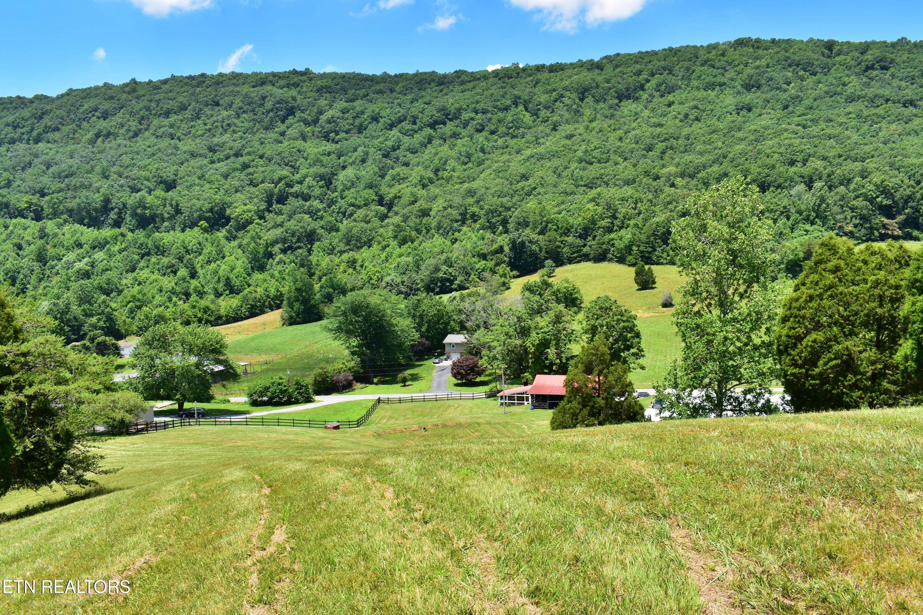 1319 Ideal Valley Road Spring City, TN 37381 - Photo 44 of 49 DSC_0777