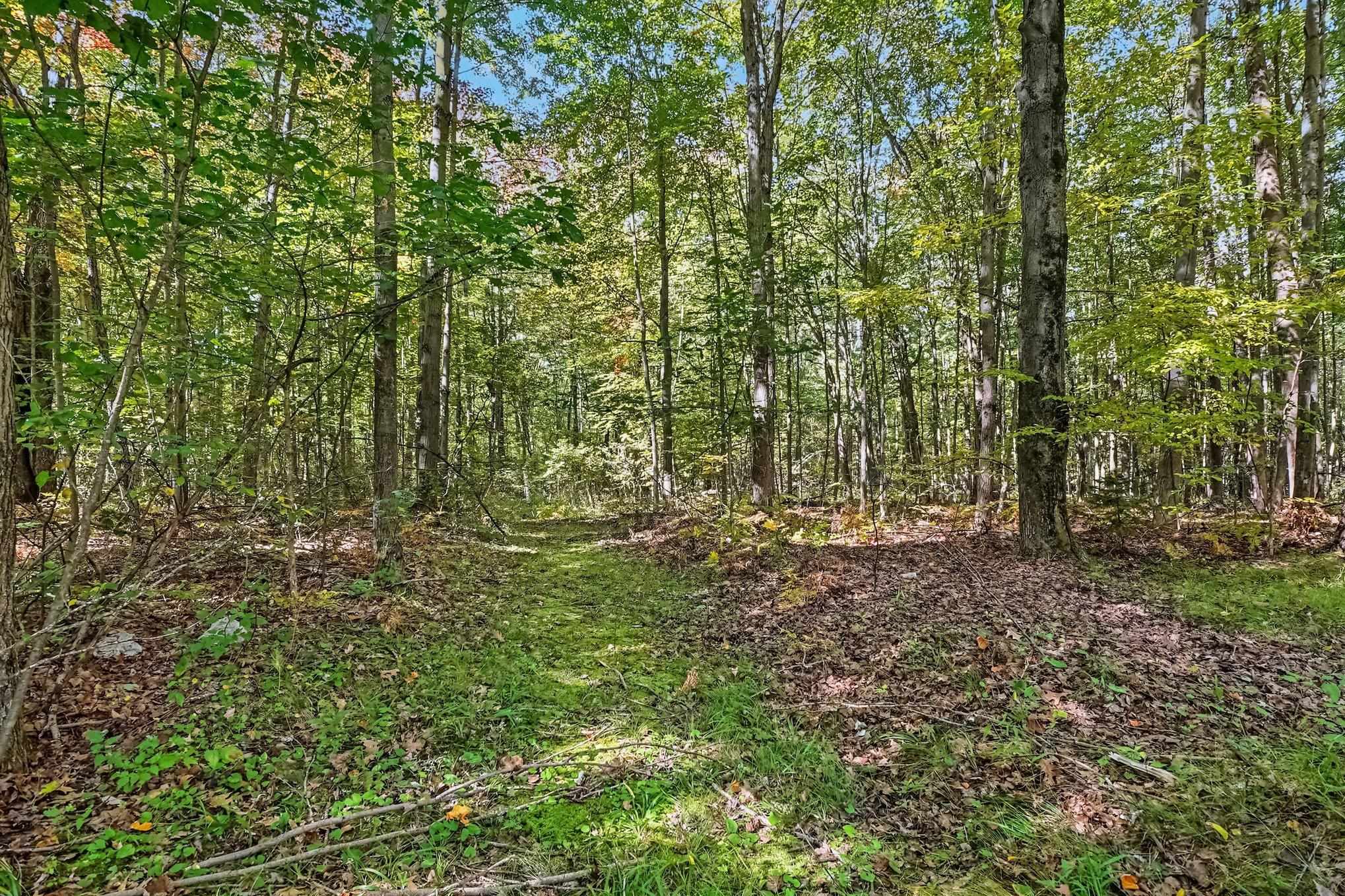 355 North Shepherd Road Mount Pleasant, MI 48858 - Photo 23 of 27 1951098-6bf2ccf9-7389-4806-9ef6-e127b051f347.JPG
