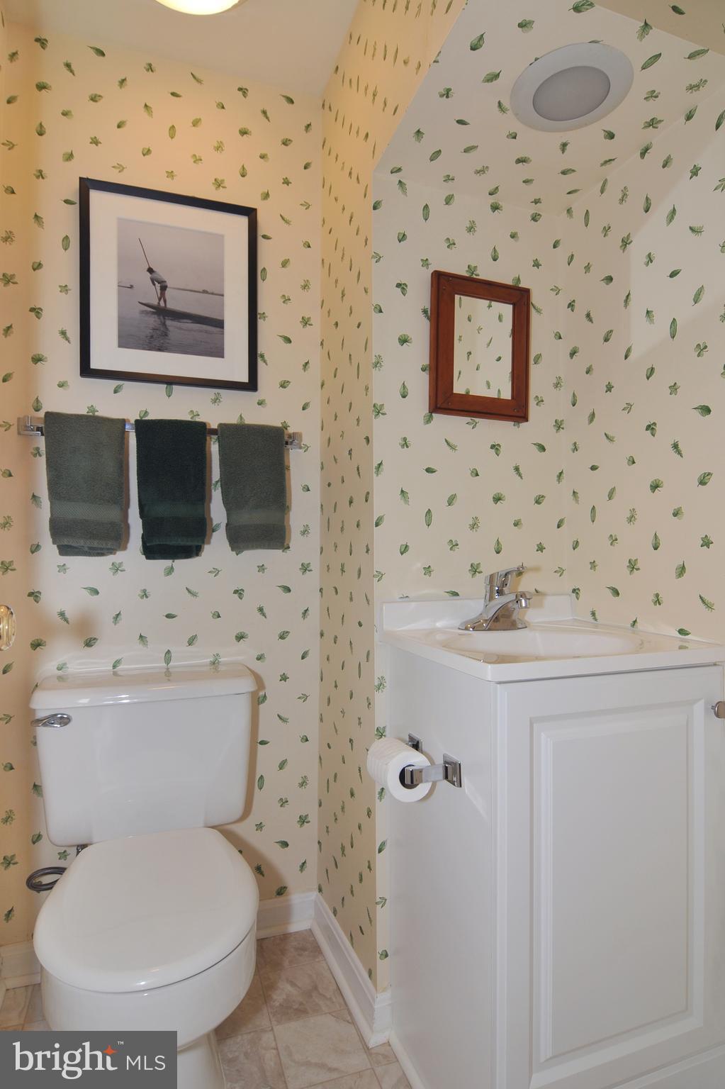 8513 Aqueduct Road Potomac, MD 20854 - Photo 21 of 23 Powder room in Lower level for office