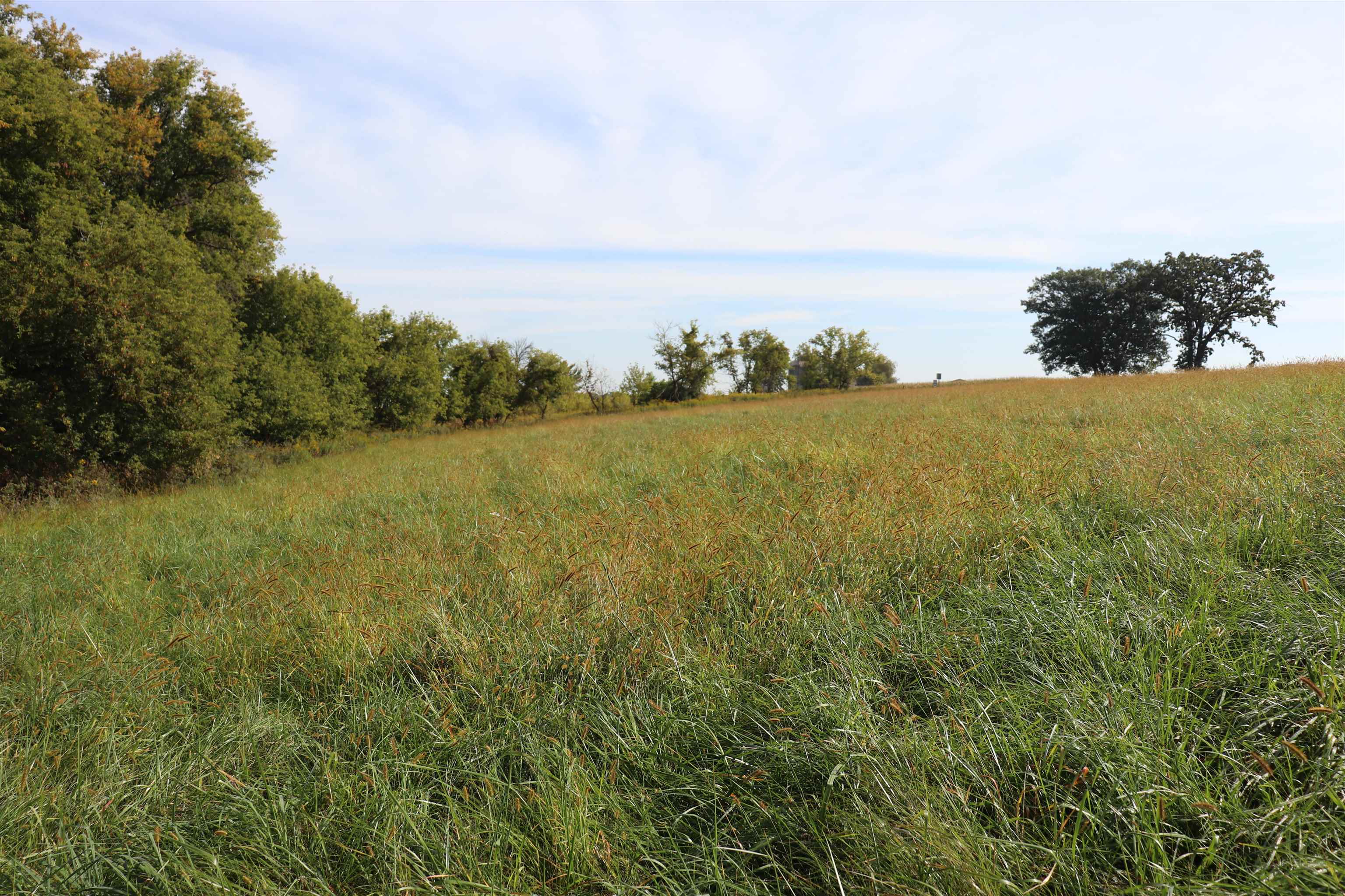 10.54-acres County Road D Fall River, WI 53932 - Photo 3 of 9