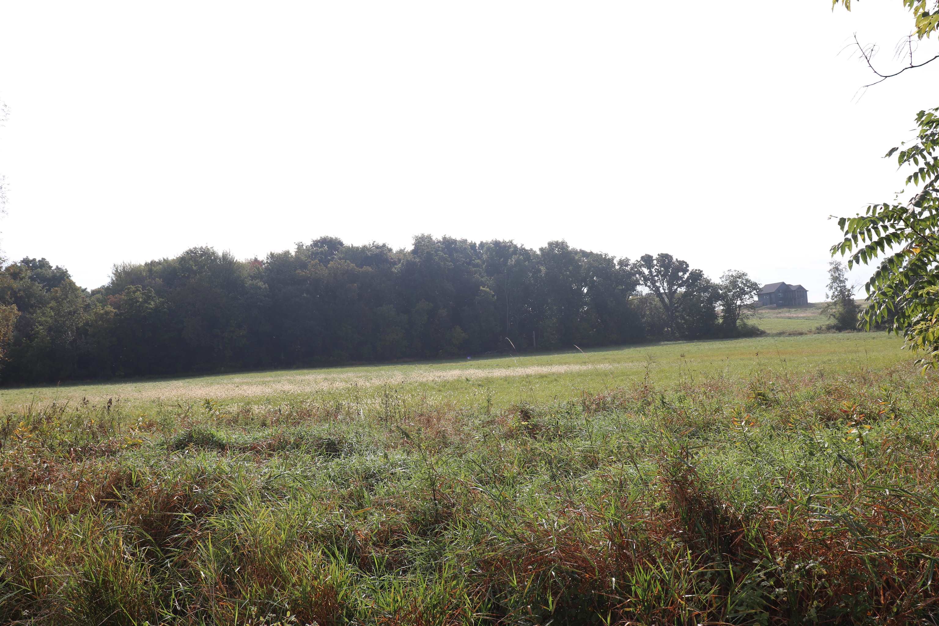 10.54-acres County Road D Fall River, WI 53932 - Photo 6 of 9