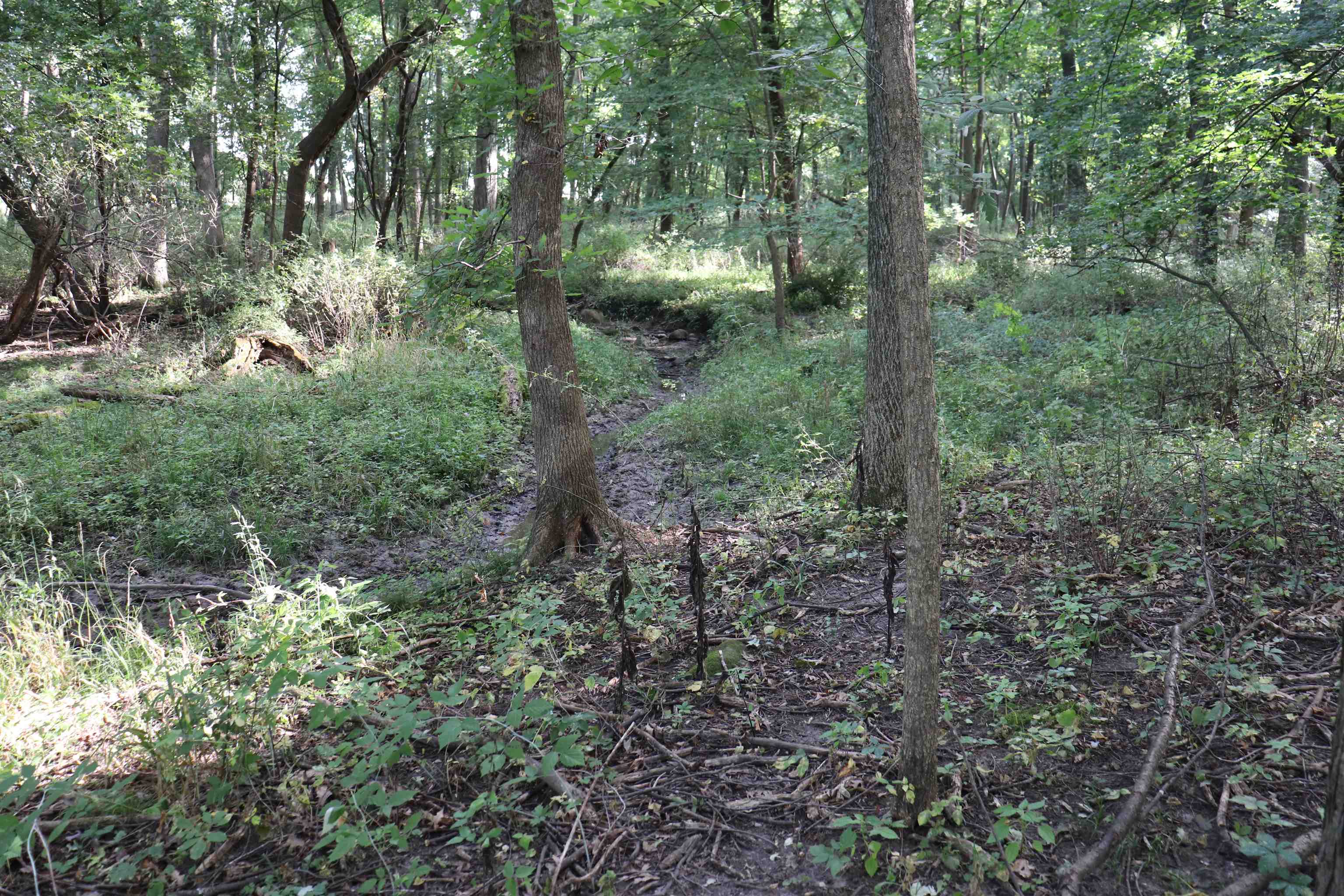 10.54-acres County Road D Fall River, WI 53932 - Photo 9 of 9