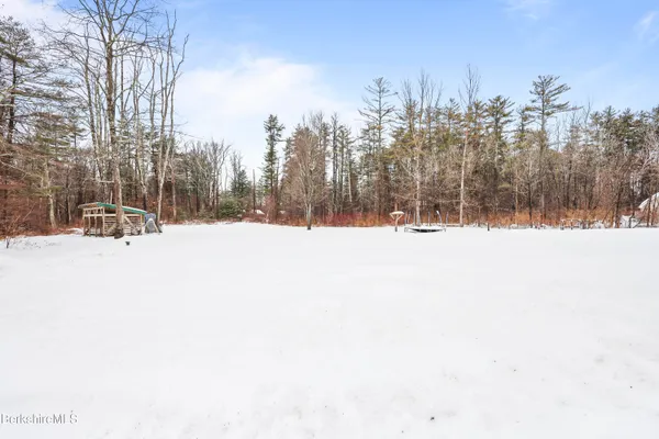 a view of tree covered with snow in the background