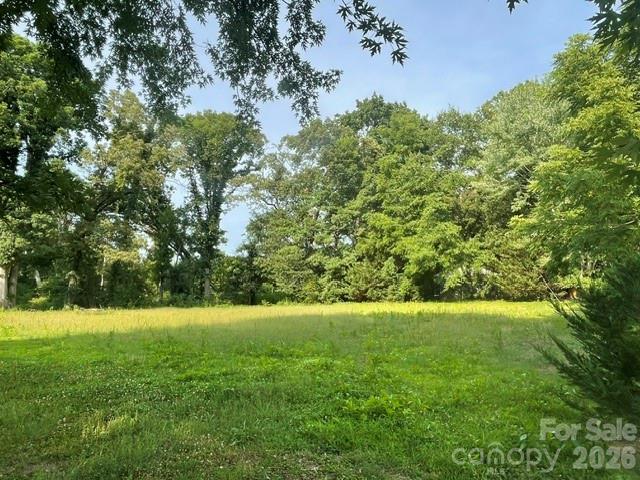 0 East View Drive Bostic, NC 28018 - Photo 5 of 6