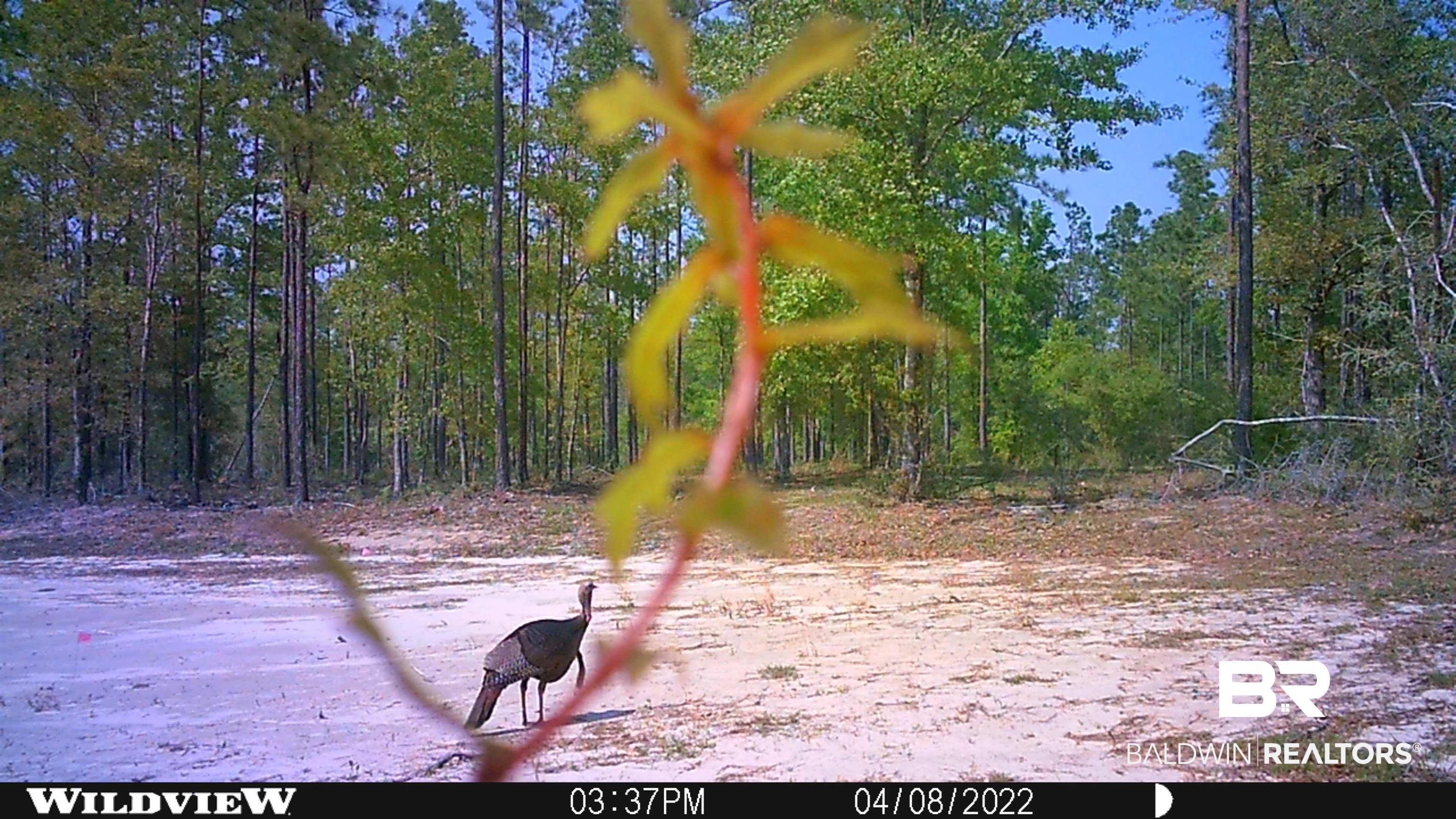 12359 Red Hill Rd Extension Bay Minette, AL 36507 - Photo 16 of 16