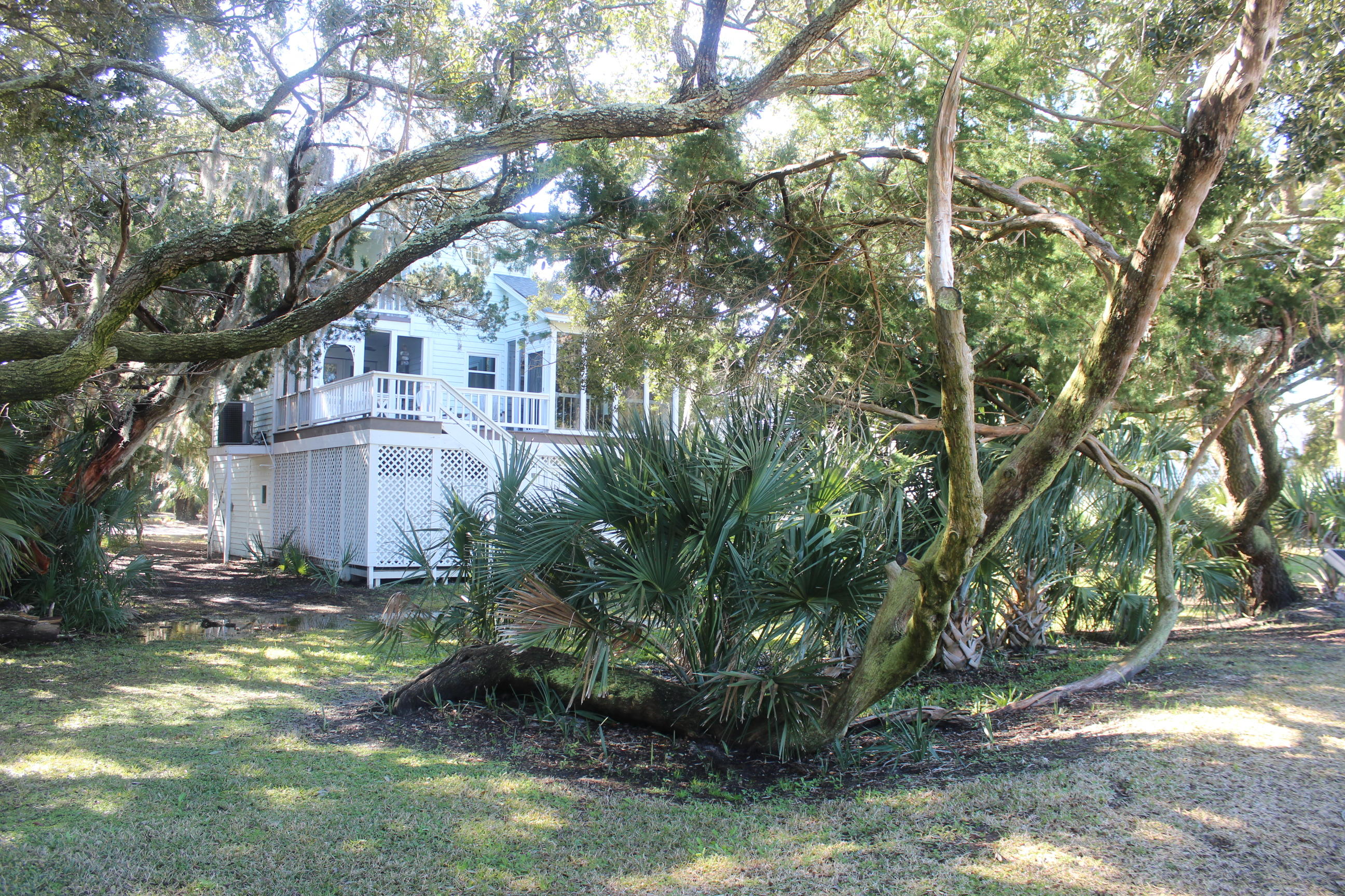 12 Battery Park Road Edisto Beach, SC 29438 - Photo 14 of 58 IMG_4788