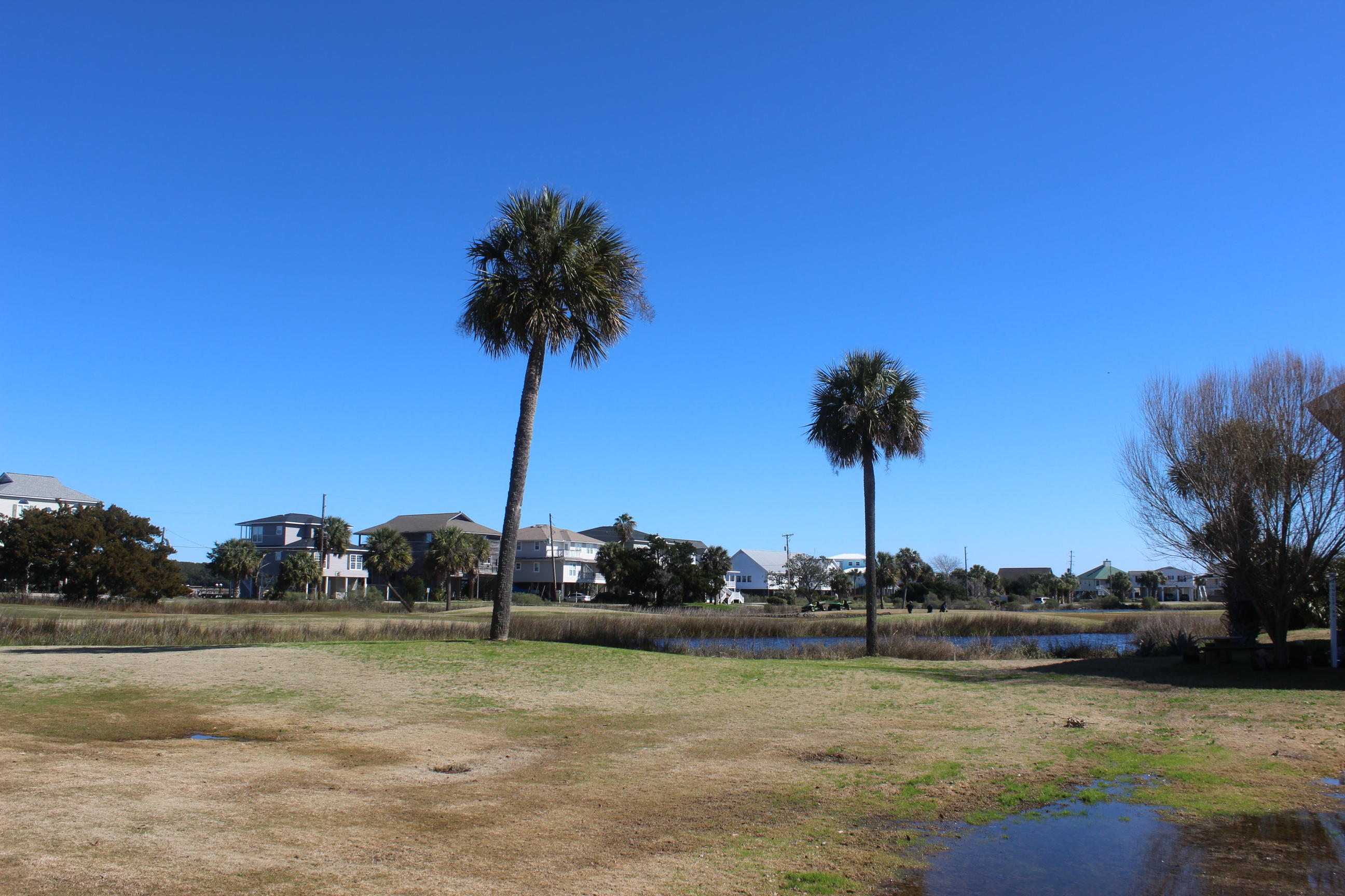 12 Battery Park Road Edisto Beach, SC 29438 - Photo 50 of 58 IMG_4825