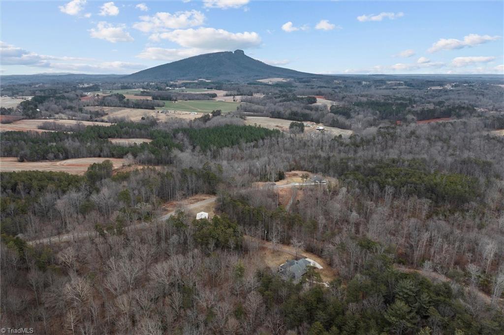 1096 Corner Road Pinnacle, NC 27043 - Photo 1 of 49