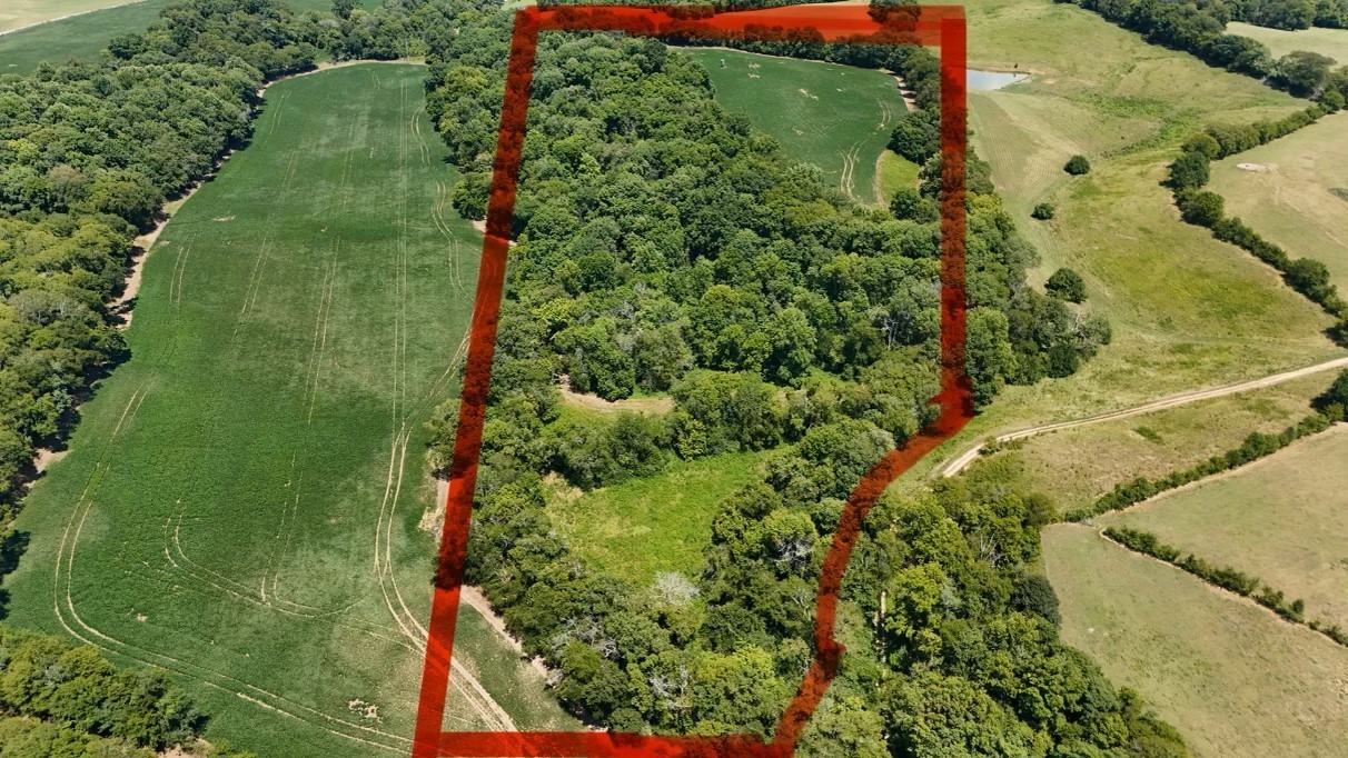 1 Craig Bridge Road Williamsport, TN 38487 - Photo 12 of 16 a view of a garden