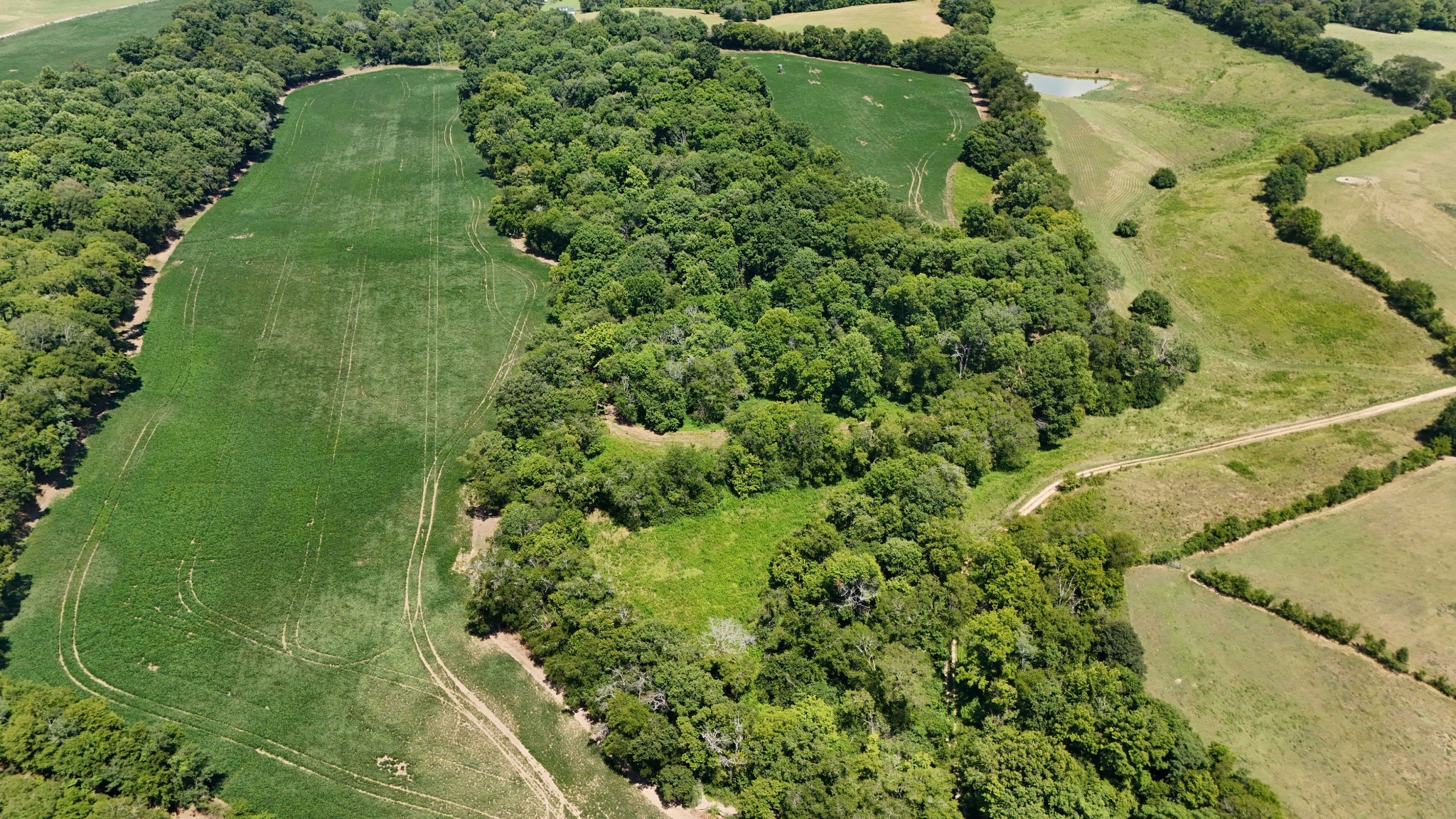 1 Craig Bridge Road Williamsport, TN 38487 - Photo 15 of 16 a view of a garden