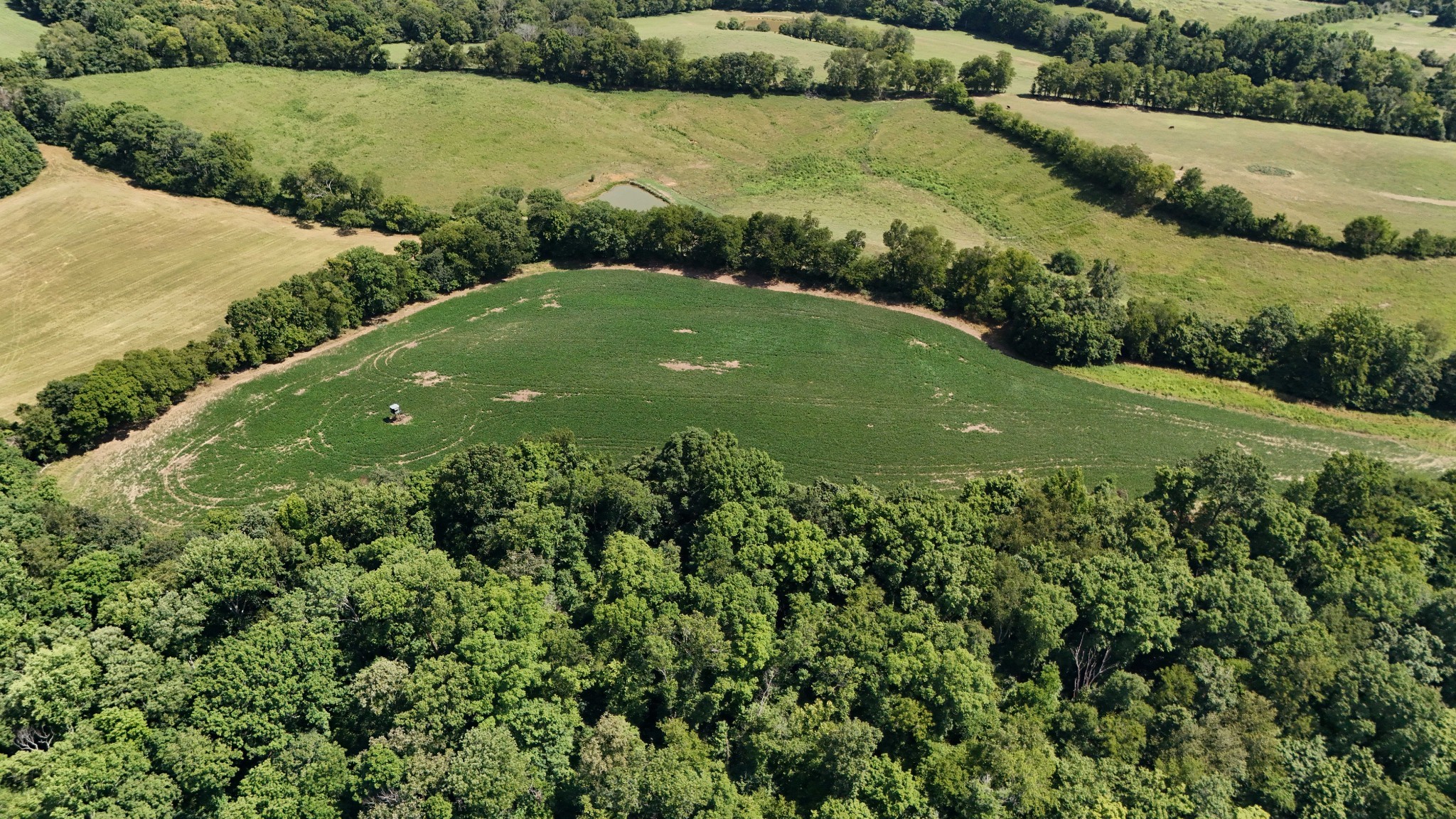1 Craig Bridge Road Williamsport, TN 38487 - Photo 16 of 16 an aerial view of green landscape with trees houses and lake view
