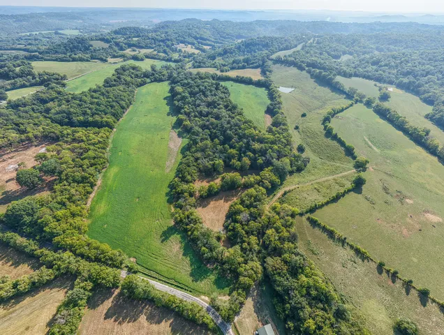 an aerial view of green landscape with trees houses and mountain view