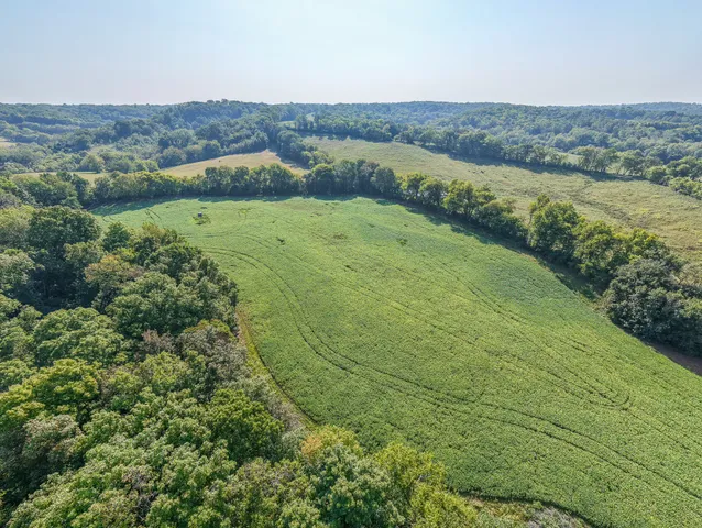 a view of a lush green outdoor space with a lake view