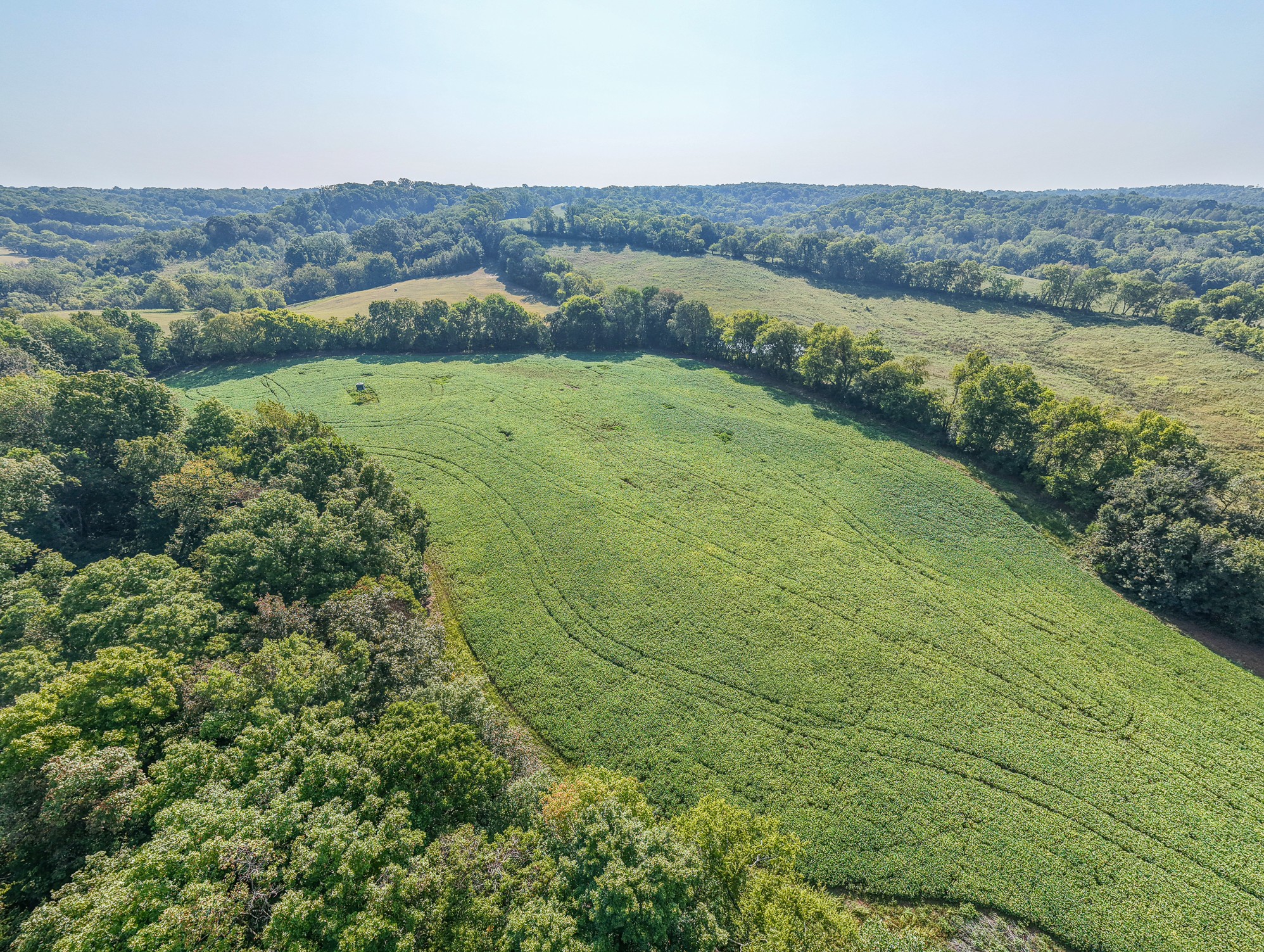 1 Craig Bridge Road Williamsport, TN 38487 - Photo 8 of 16 a view of a lush green outdoor space with a lake view