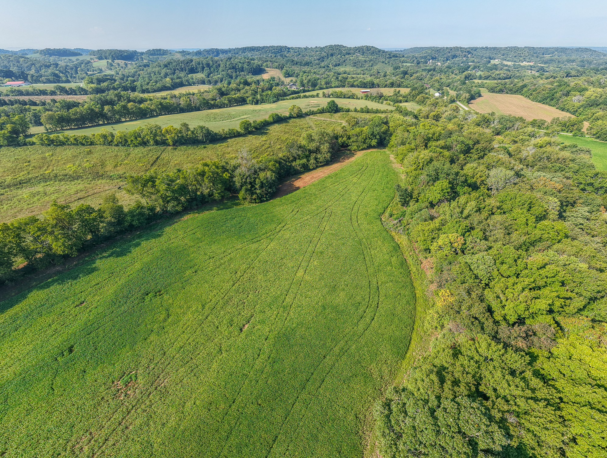 1 Craig Bridge Road Williamsport, TN 38487 - Photo 9 of 16 a view of a green field with an ocean