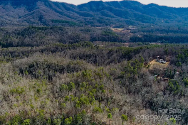 a view of a lush green field