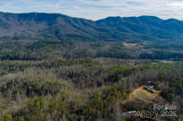 a view of backyard and outdoor space