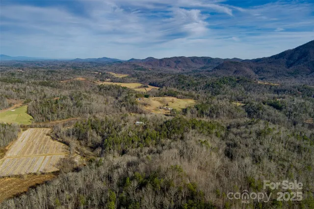 a view of a mountain in the distance in a field