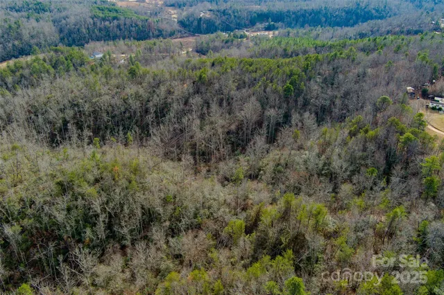 a view of a lush green forest with lots of trees