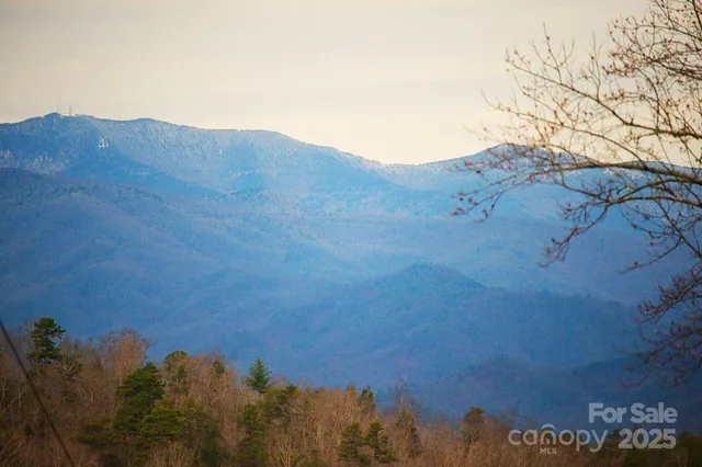 a view of a dry field with mountains in the background