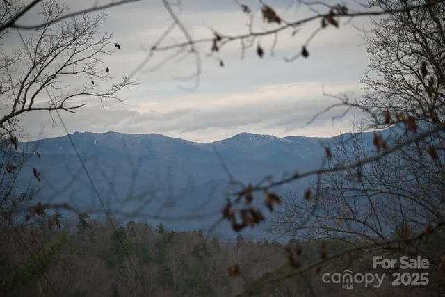 $150,000 | 0 Jarrell Loop, Old Fort, NC 28762