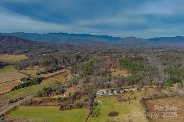 a view of a mountain from a yard