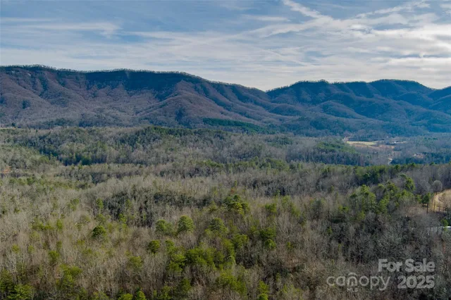 a view of aerial top of house
