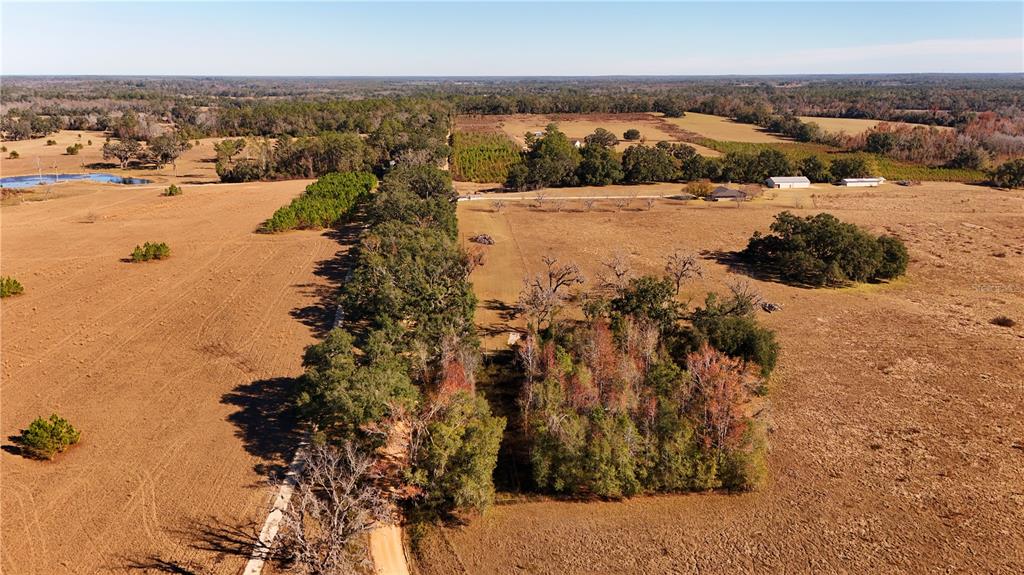 1179 Northwest Jersey Road Madison, FL 32340 - Photo 2 of 19