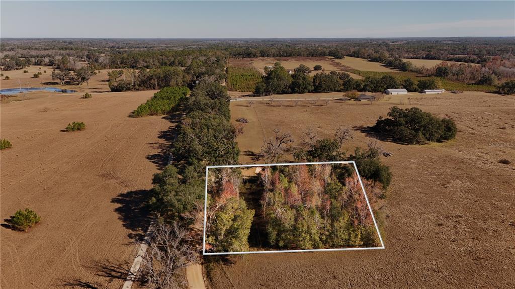 1179 Northwest Jersey Road Madison, FL 32340 - Photo 3 of 19