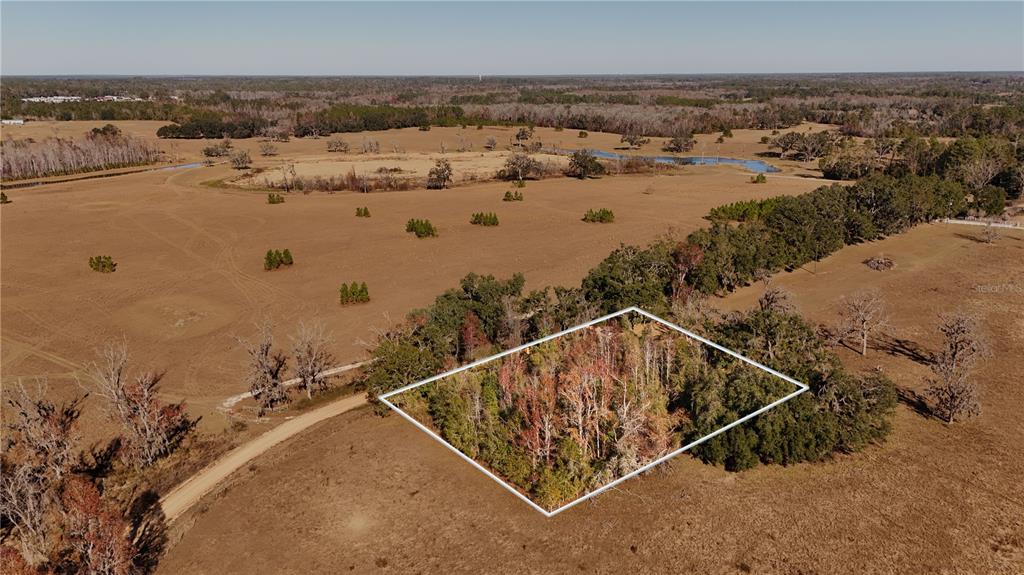 1179 Northwest Jersey Road Madison, FL 32340 - Photo 4 of 19