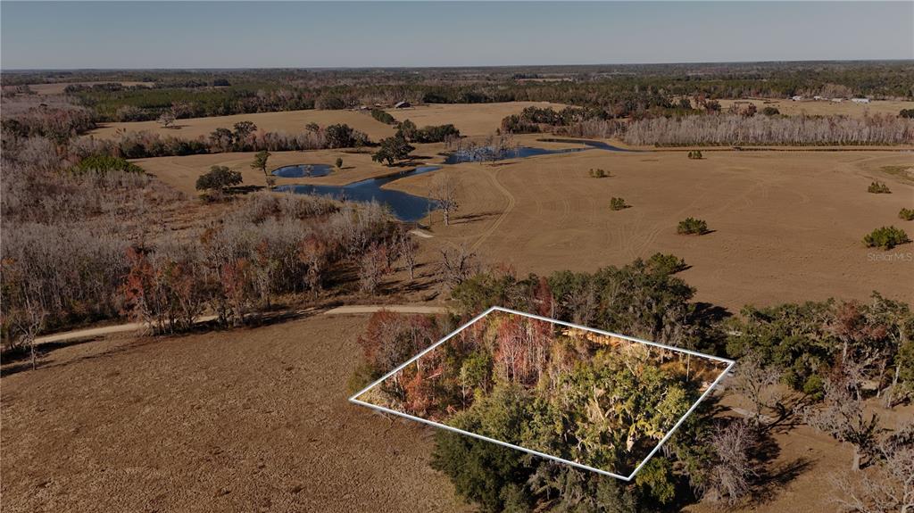 1179 Northwest Jersey Road Madison, FL 32340 - Photo 6 of 19