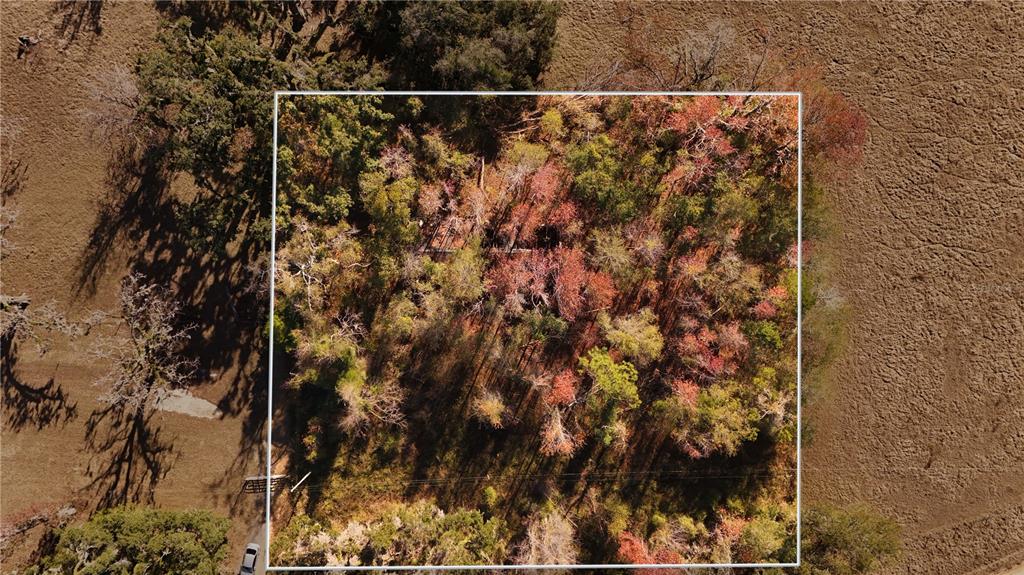 1179 Northwest Jersey Road Madison, FL 32340 - Photo 7 of 19