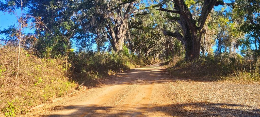 1179 Northwest Jersey Road Madison, FL 32340 - Photo 8 of 19