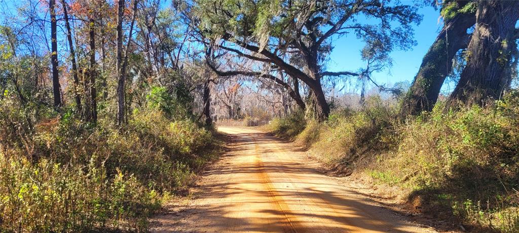 1179 Northwest Jersey Road Madison, FL 32340 - Photo 9 of 19