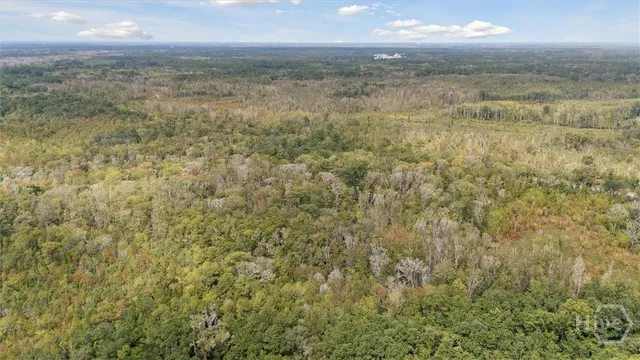 $80,000 | 0 North Coastal Highway, Midway, GA 31320