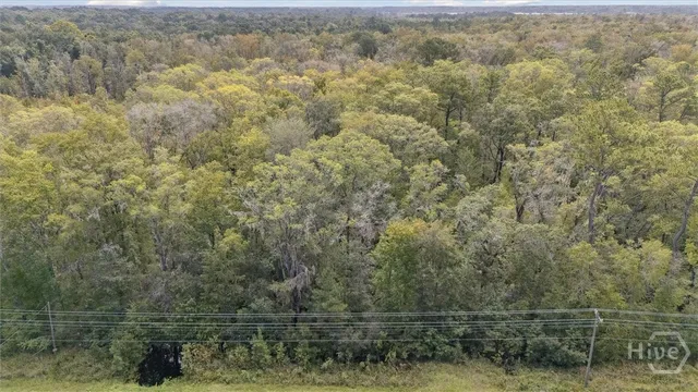 $80,000 | 0 North Coastal Highway, Midway, GA 31320