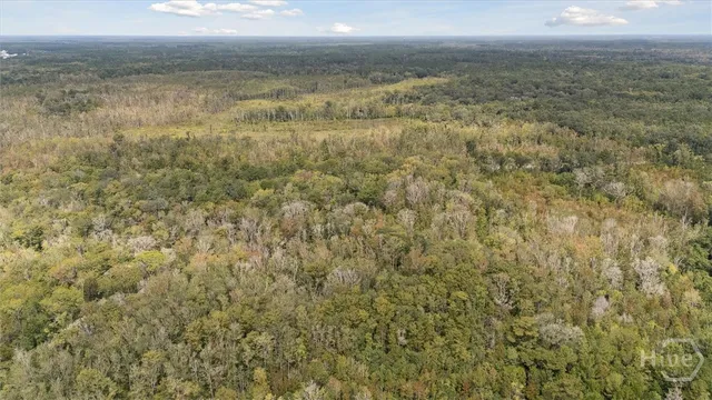 $80,000 | 0 North Coastal Highway, Midway, GA 31320