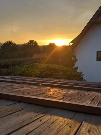 a view of a backyard with pathway