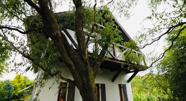 an aerial view of a house with garden space and street view