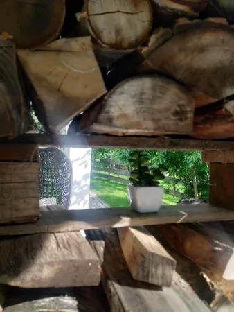 a room with storage and utility