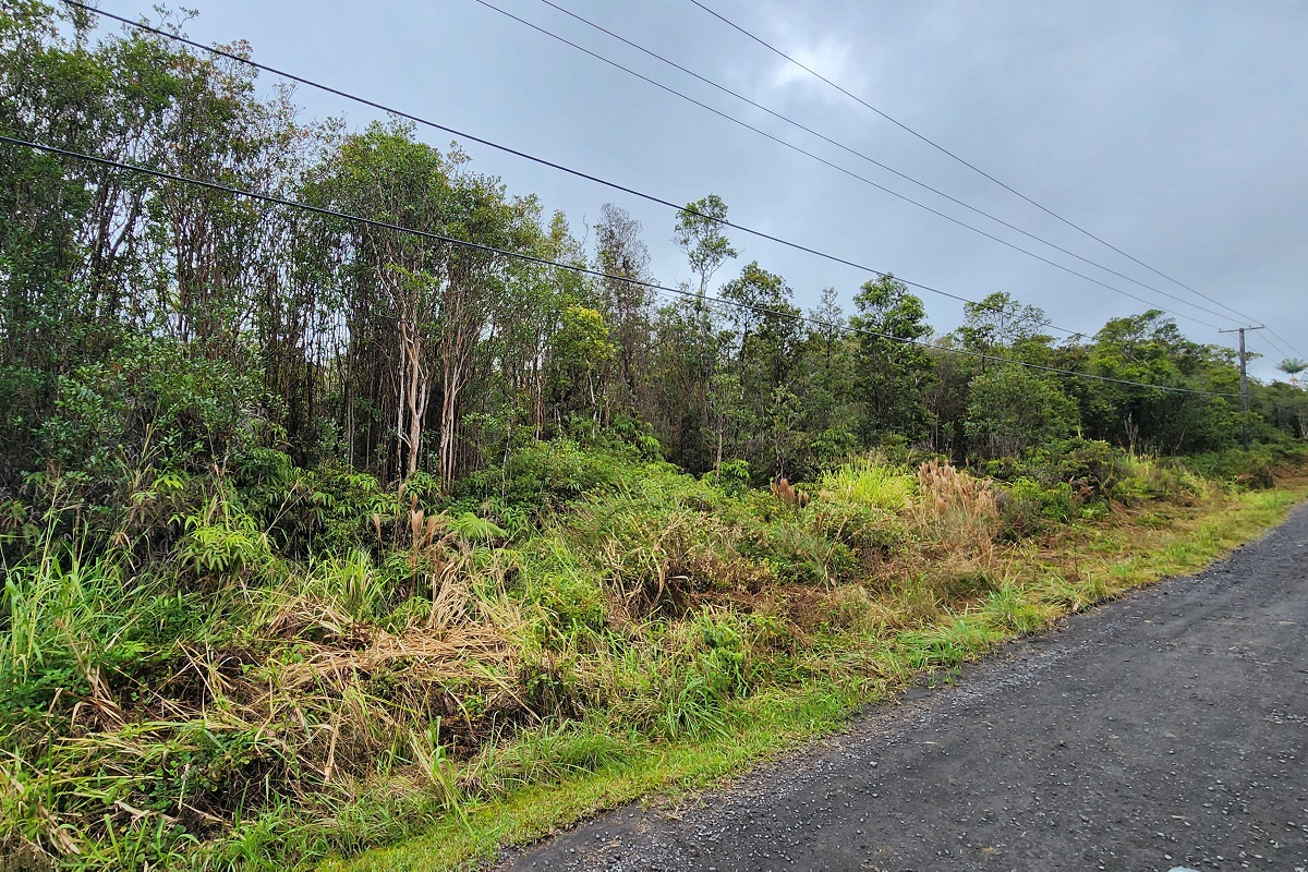 27 Kaleponi Road Pahoa, HI 96778 - Photo 2 of 19