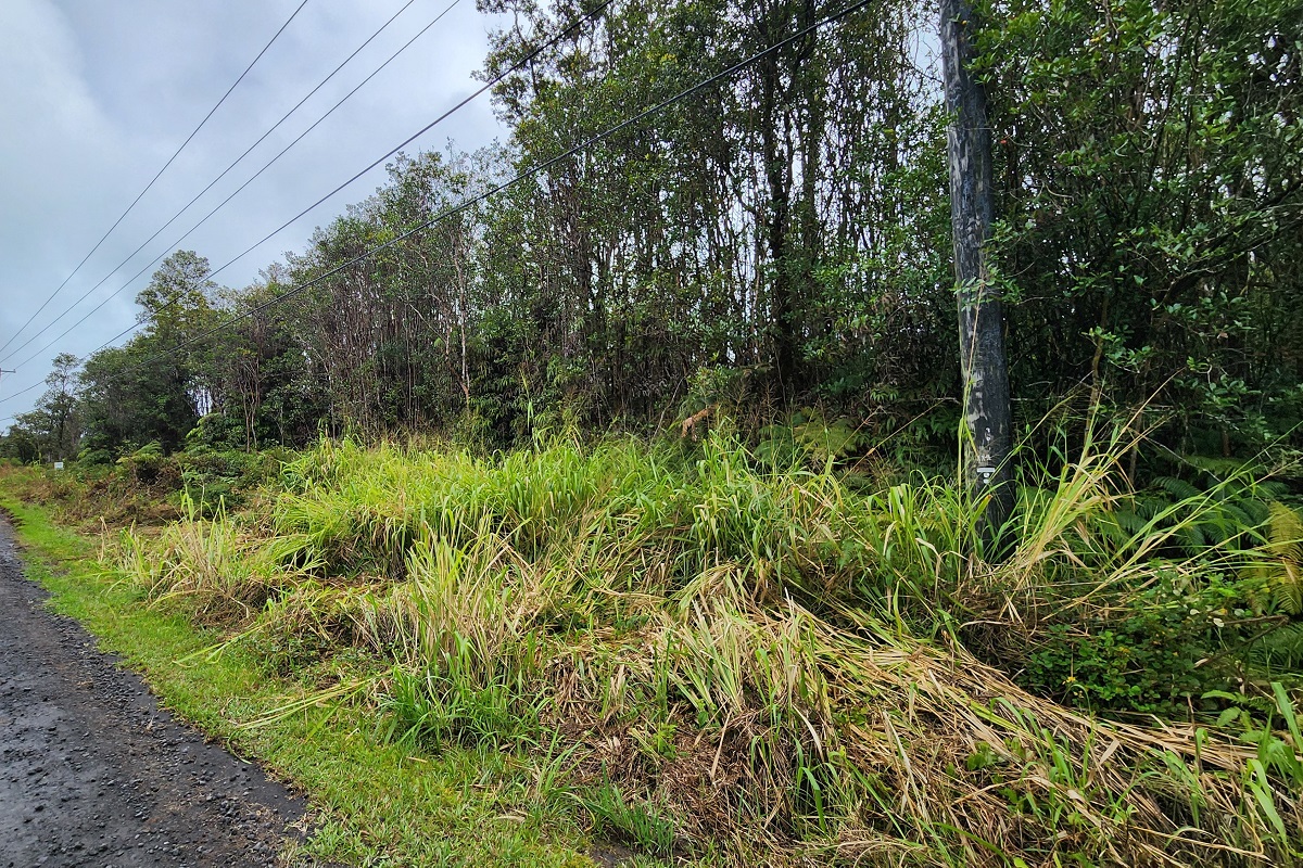 27 Kaleponi Road Pahoa, HI 96778 - Photo 3 of 19