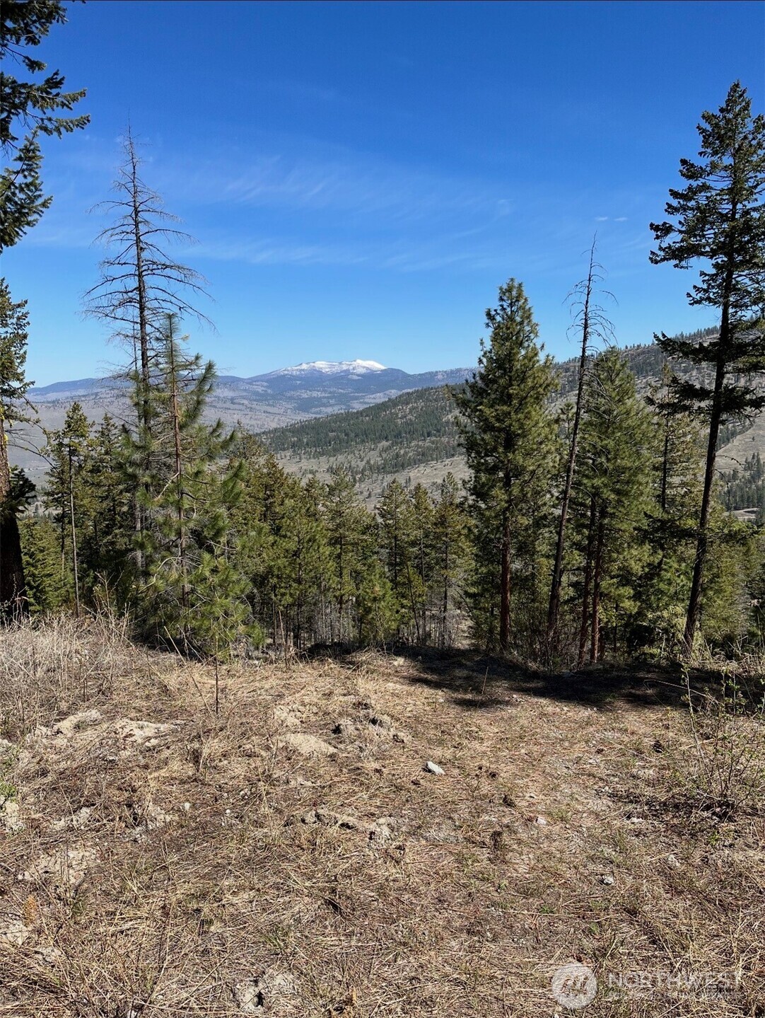 0 Broken Spoke Road Tonasket, WA 98855 - Photo 2 of 39 a view of a yard with a tree