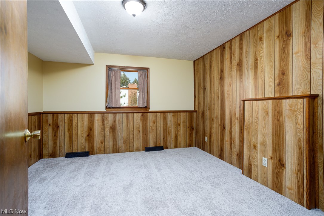 5680 Lance Road Medina, OH 44256 - Photo 21 of 32 Spare room featuring wood walls, a textured ceiling, and carpet