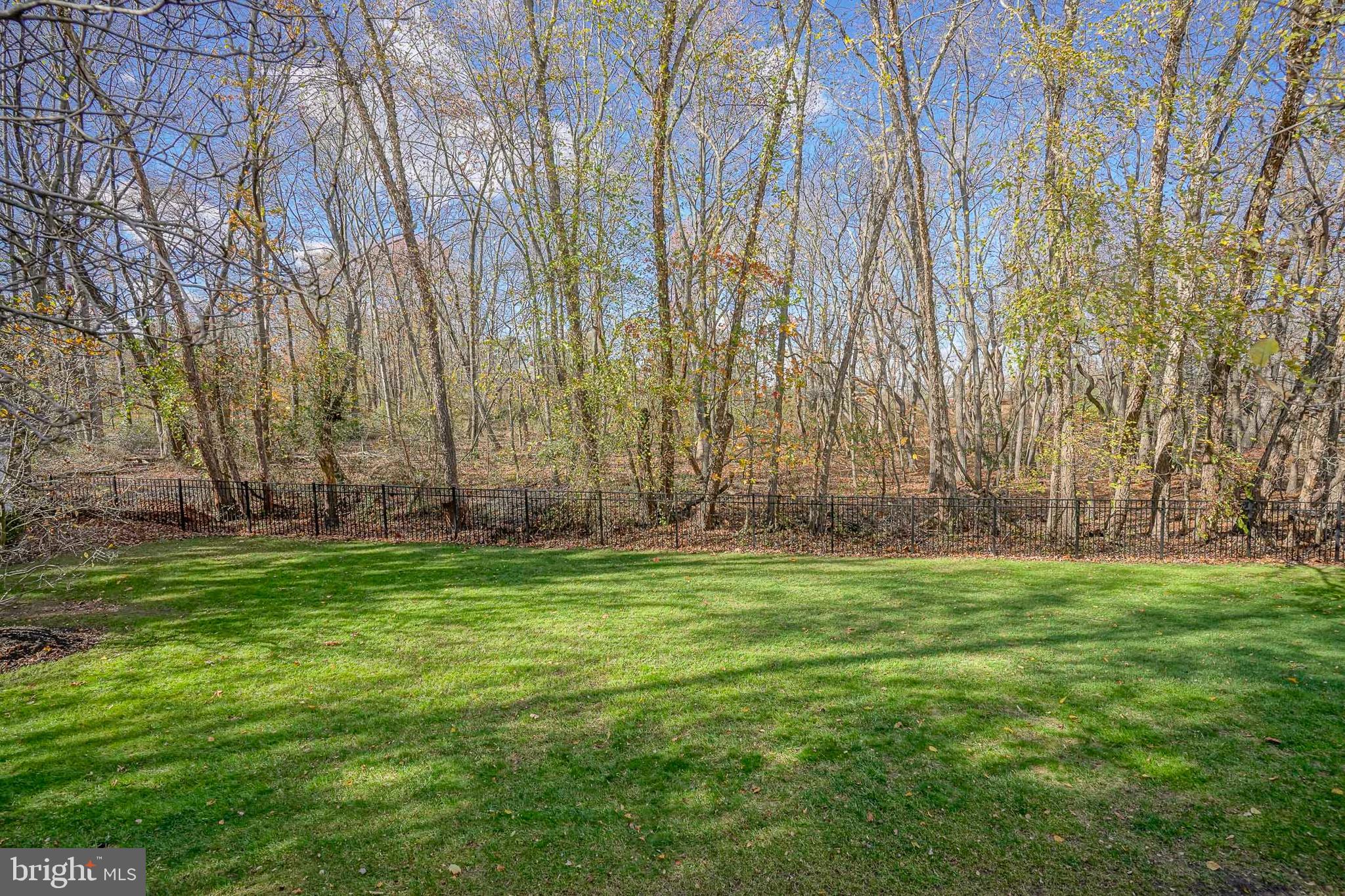 6 Sylvan Court Delran, NJ 08075 - Photo 46 of 49 a view of a yard with large trees