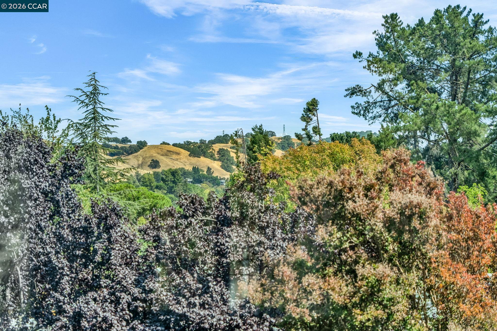 1935 Golden Rain Road, Unit 1 Walnut Creek, CA 94595 - Photo 28 of 46
