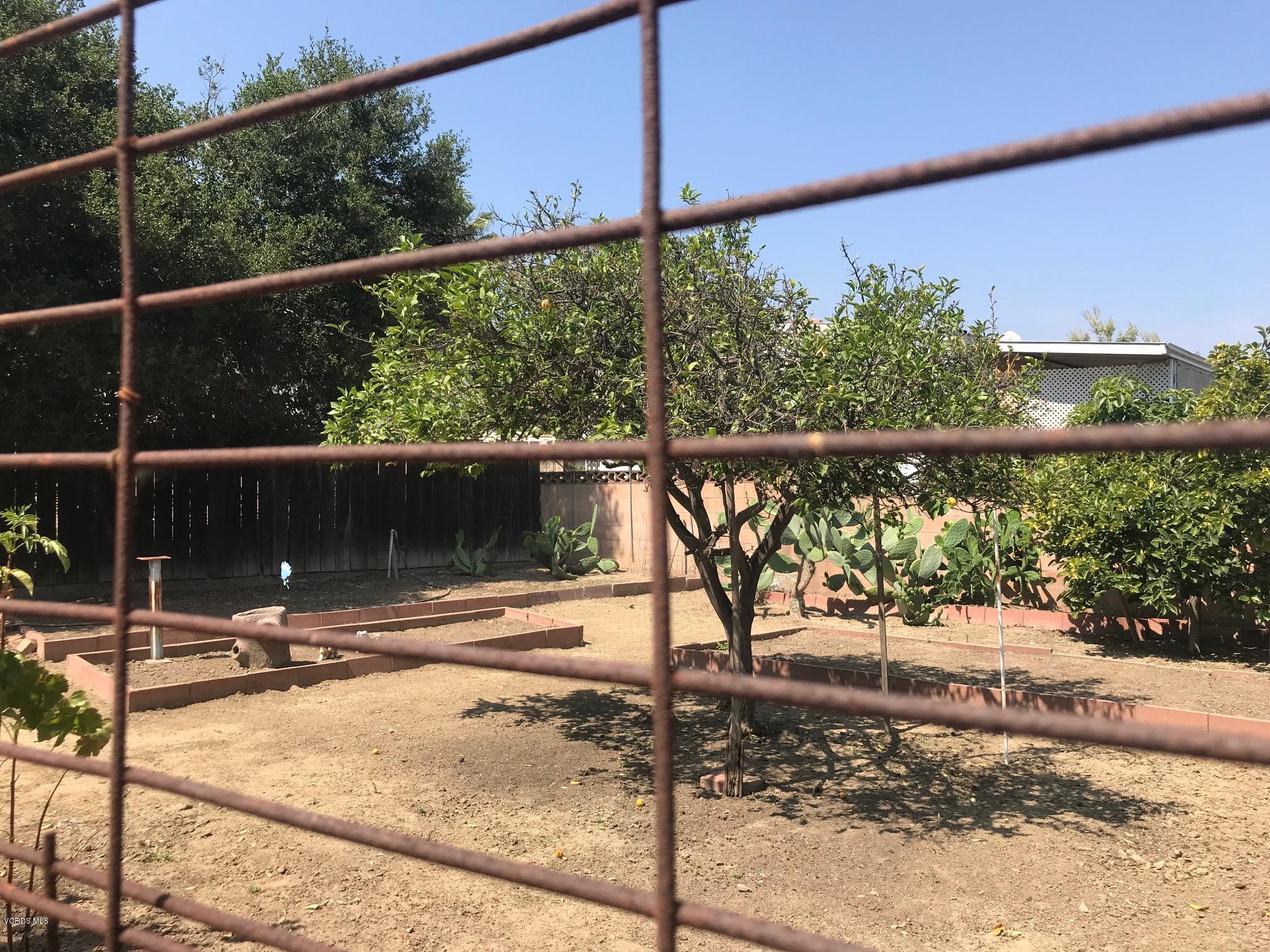 717 Ralph Way Santa Paula, CA 93060 - Photo 9 of 22 View of back Garden area