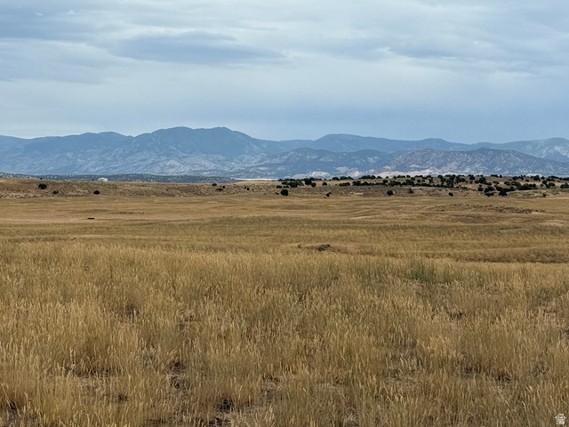 25 Old Dam Road, Unit 25 Levan, UT 84639 - Photo 6 of 10