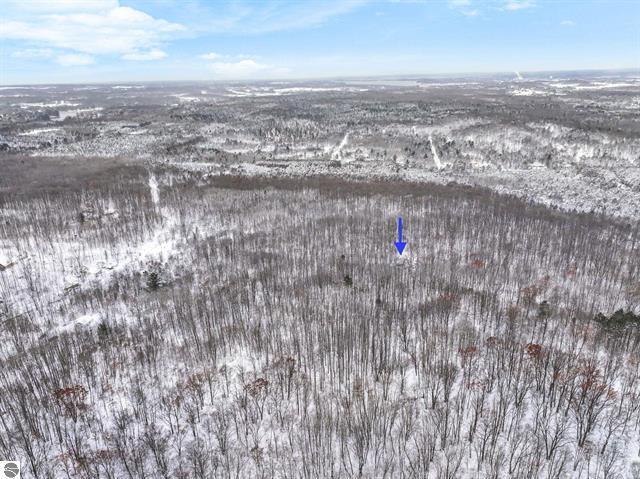 0 West Falmouth Road McBain, MI 49657 - Photo 11 of 14 11